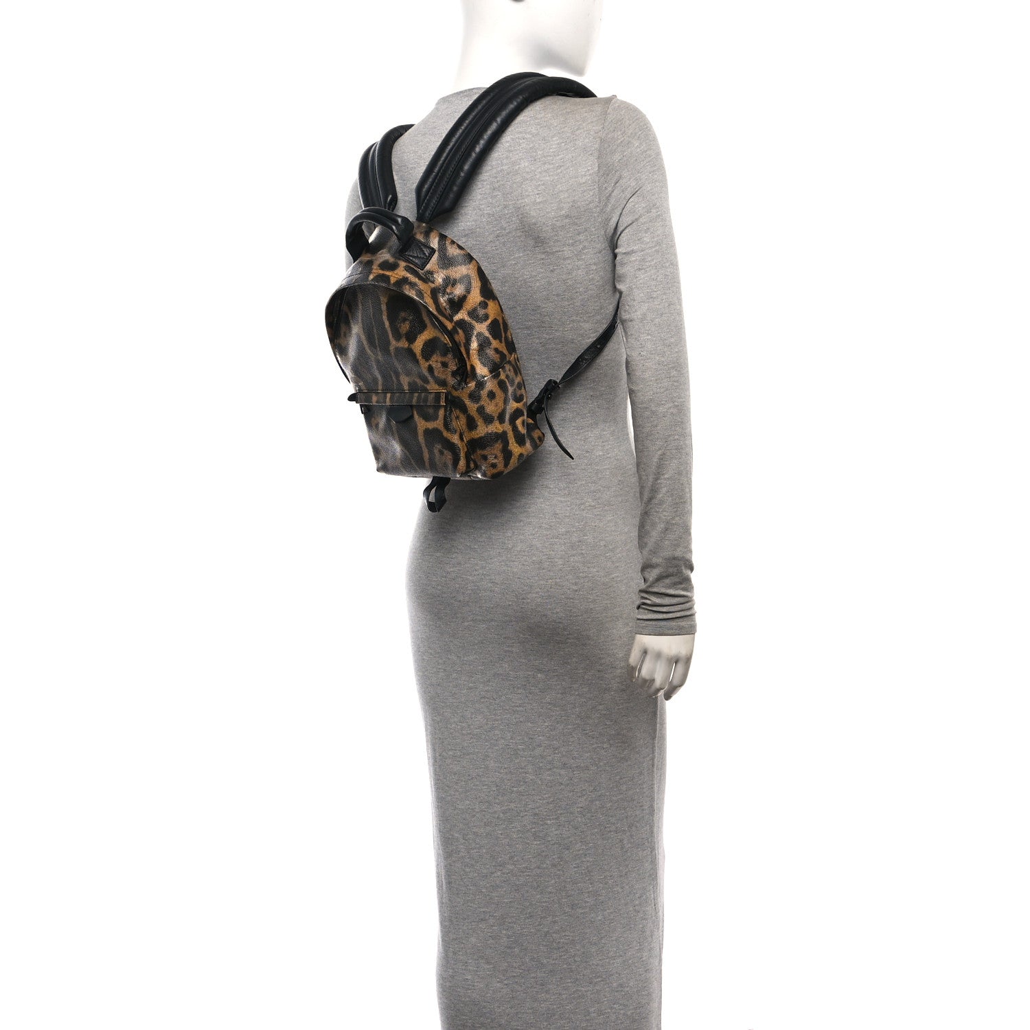 Louis Vuitton Wild Animal Print Palm Springs Backpack PM 2 of 10
