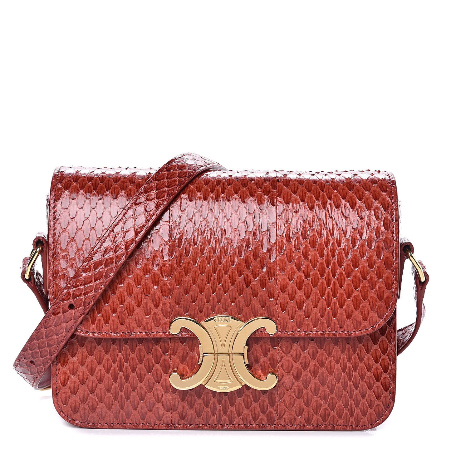 Watersnake Teen Triomphe Ruby