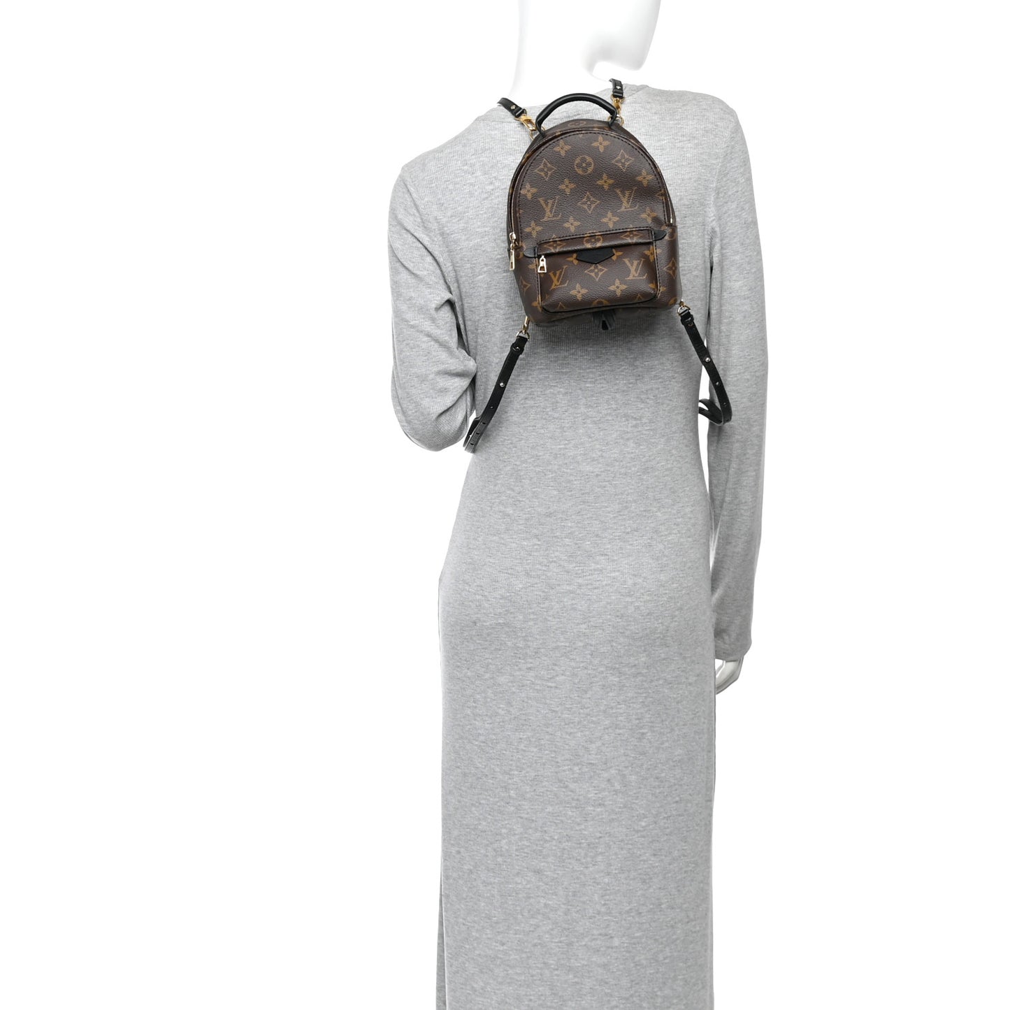 Monogram Palm Springs Backpack Mini