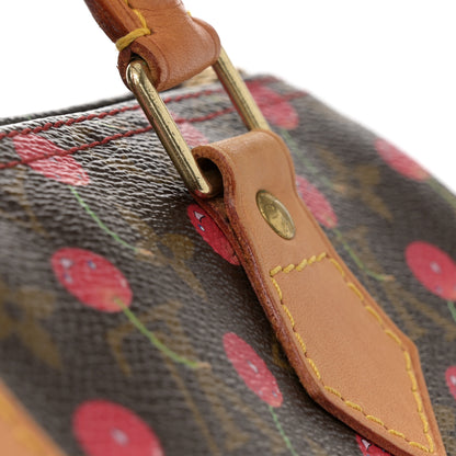 Louis Vuitton Monogram Cerises Speedy 25 18 of 20