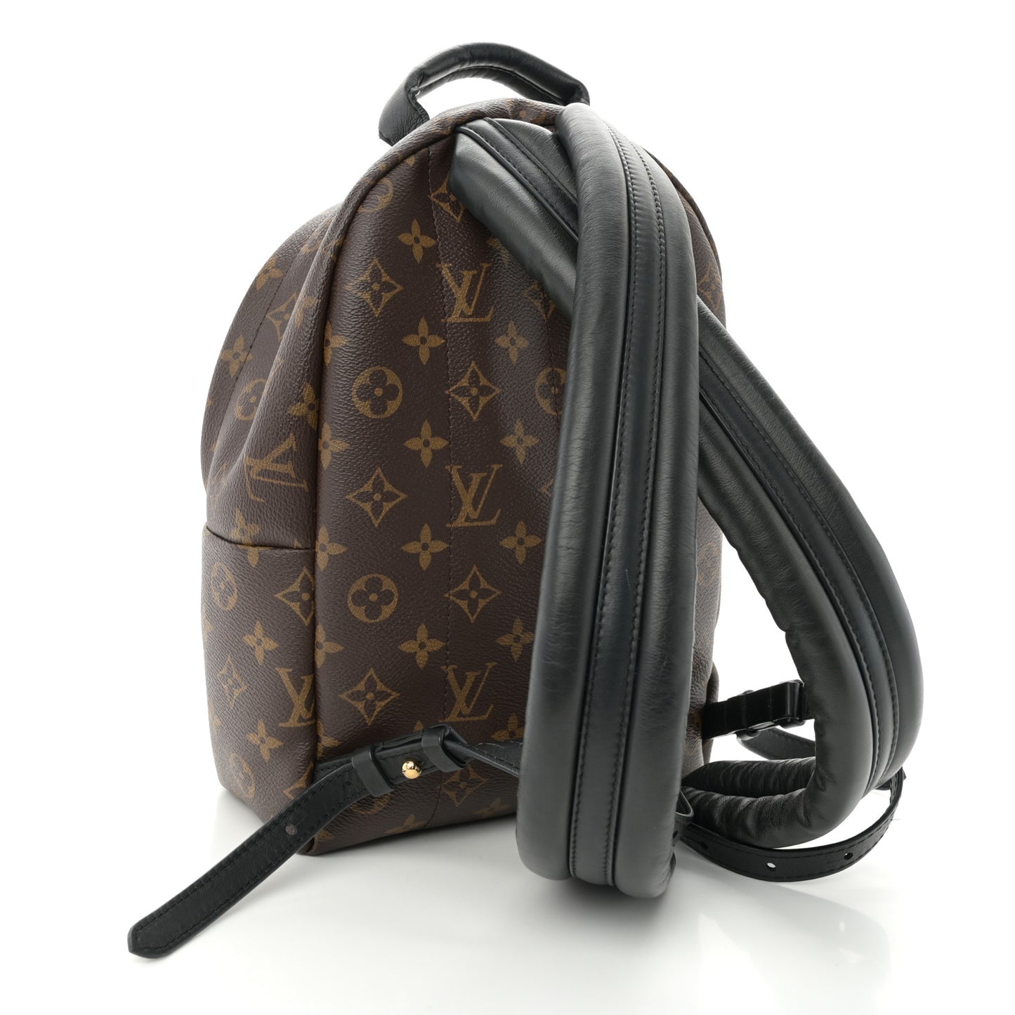 Monogram Palm Springs Backpack PM