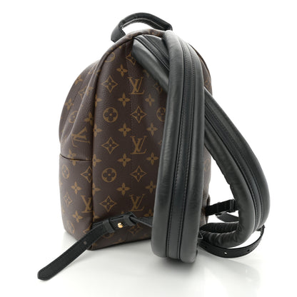 Louis Vuitton Monogram Palm Springs Backpack PM 3 of 9