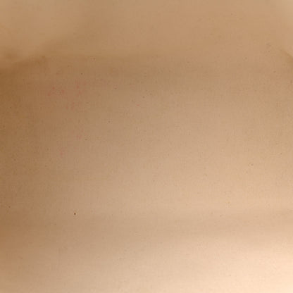 Celine Canvas Calfskin Horizontal Cabas Natural Tan 5 of 14