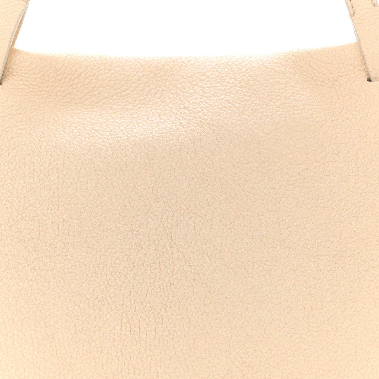 Grained Calfskin Sidekick Beige