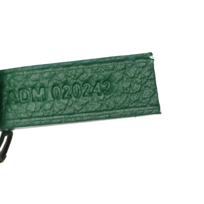 Goyard Goyardine Saint Louis PM Green 8 of 10