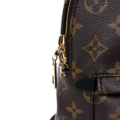 Louis Vuitton Monogram Palm Springs Backpack PM 12 of 12