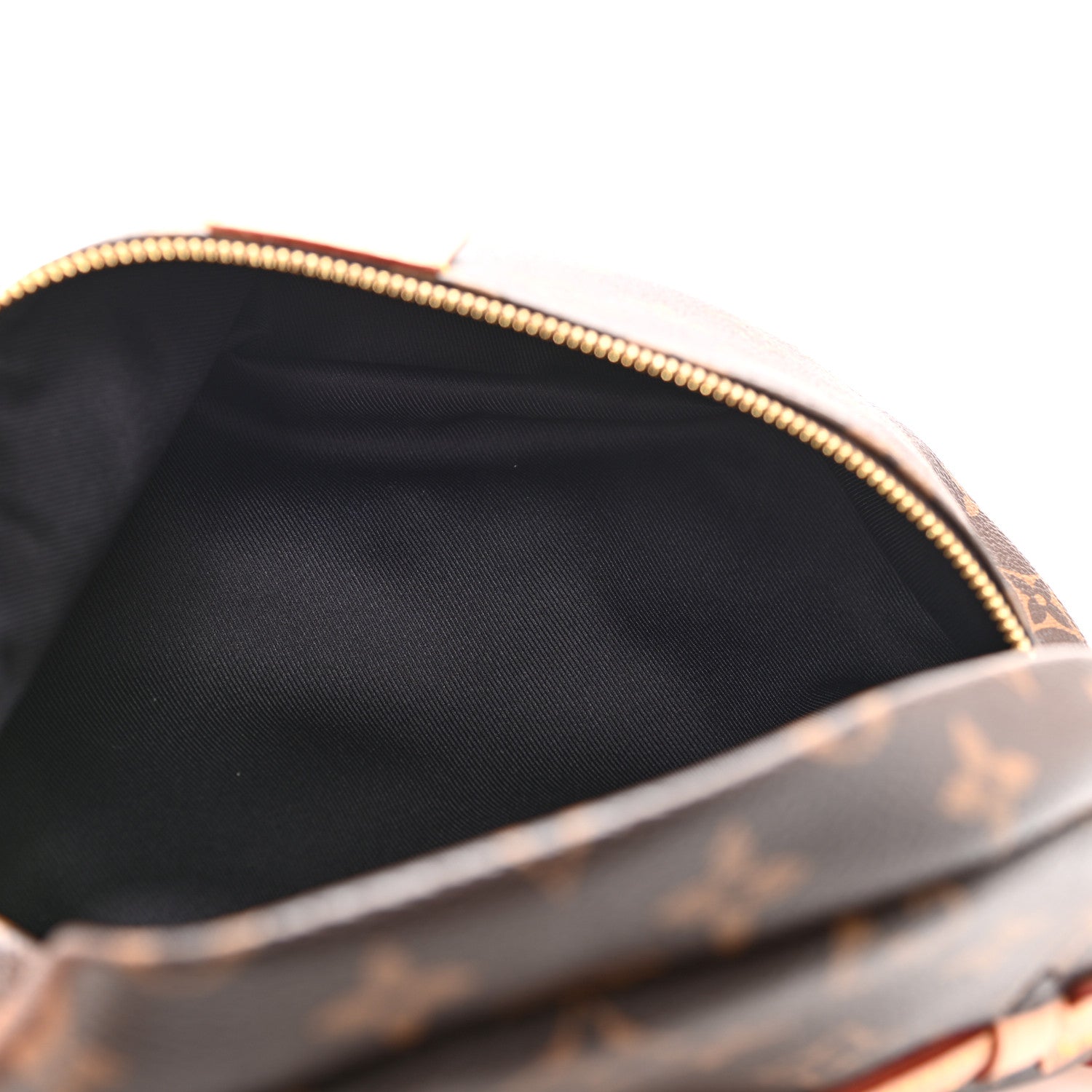 Louis Vuitton Monogram Bumbag 5 of 9