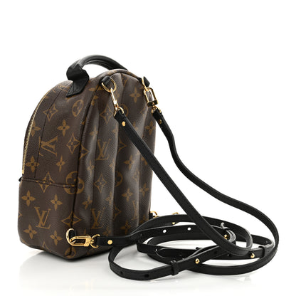 Louis Vuitton Monogram Palm Springs Backpack Mini 3 of 13