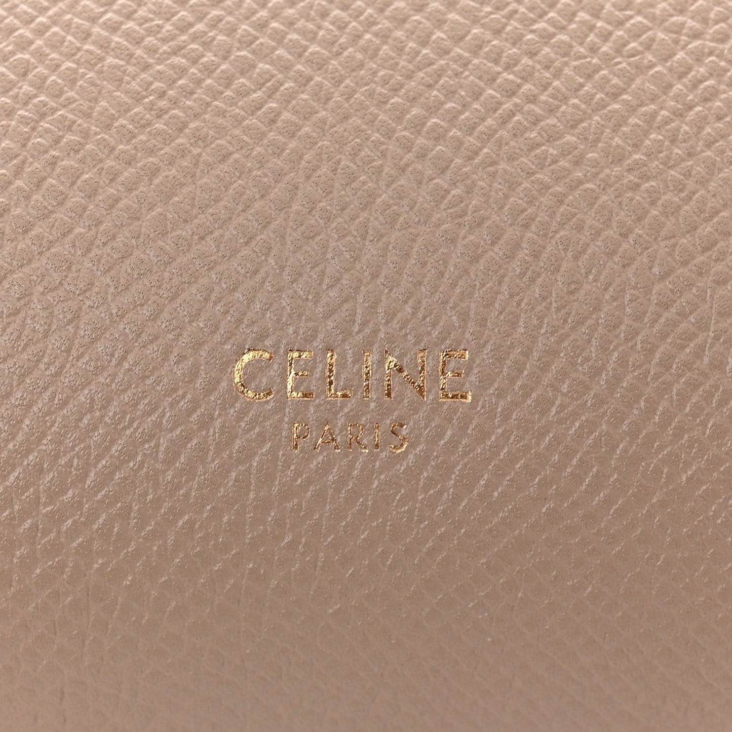 Grained Calfskin Mini Belt Bag Light Taupe