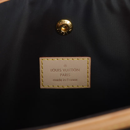 Louis Vuitton Monogram Baxter PM Dog Pet Carrier 6 of 7