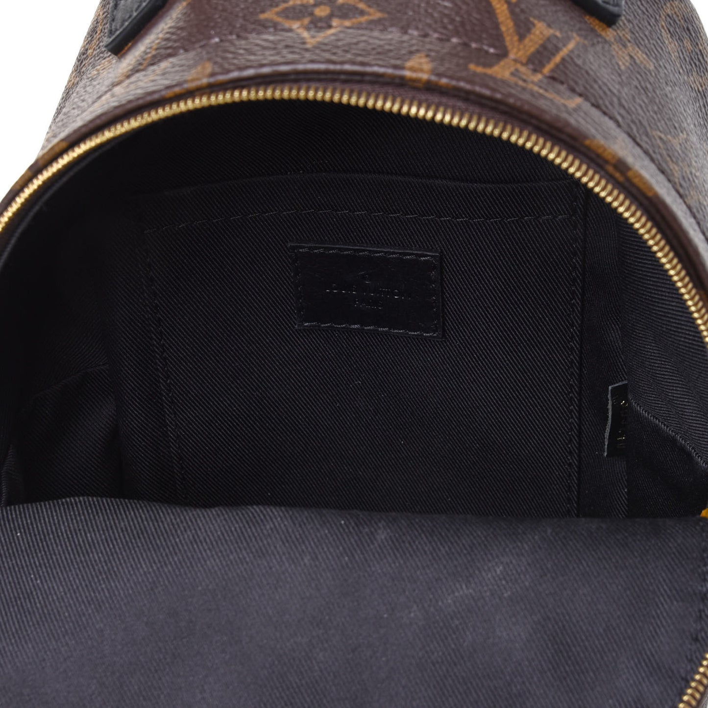 Monogram Palm Springs Backpack Mini
