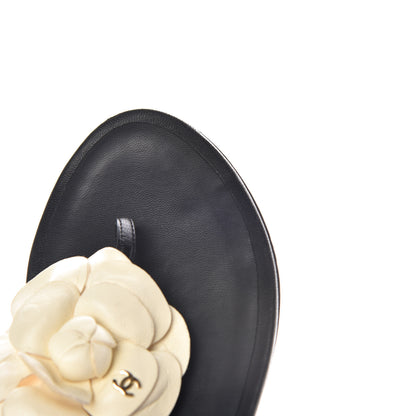 Chanel Lambskin Camellia Thong Sandals 36 Black White 16 of 16