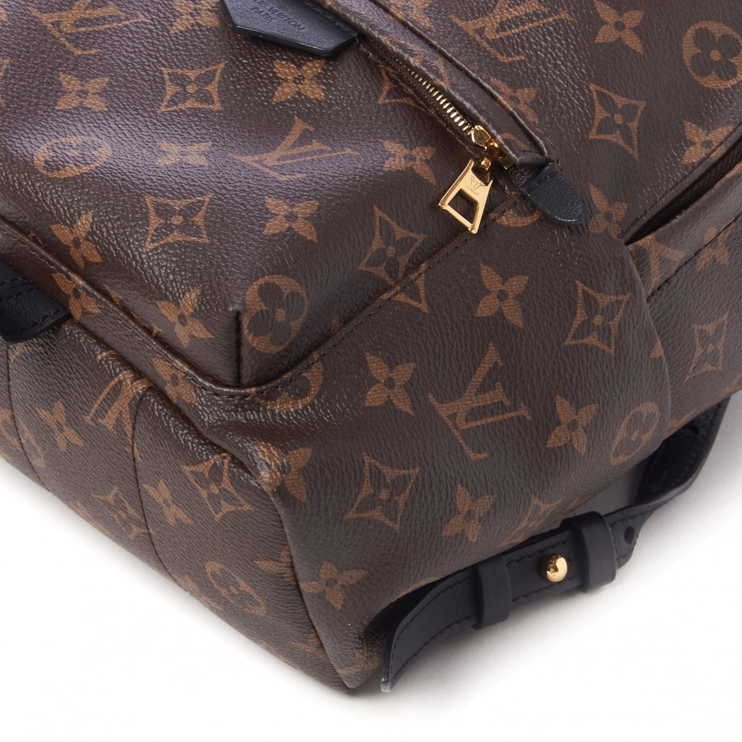 Monogram Palm Springs Backpack PM
