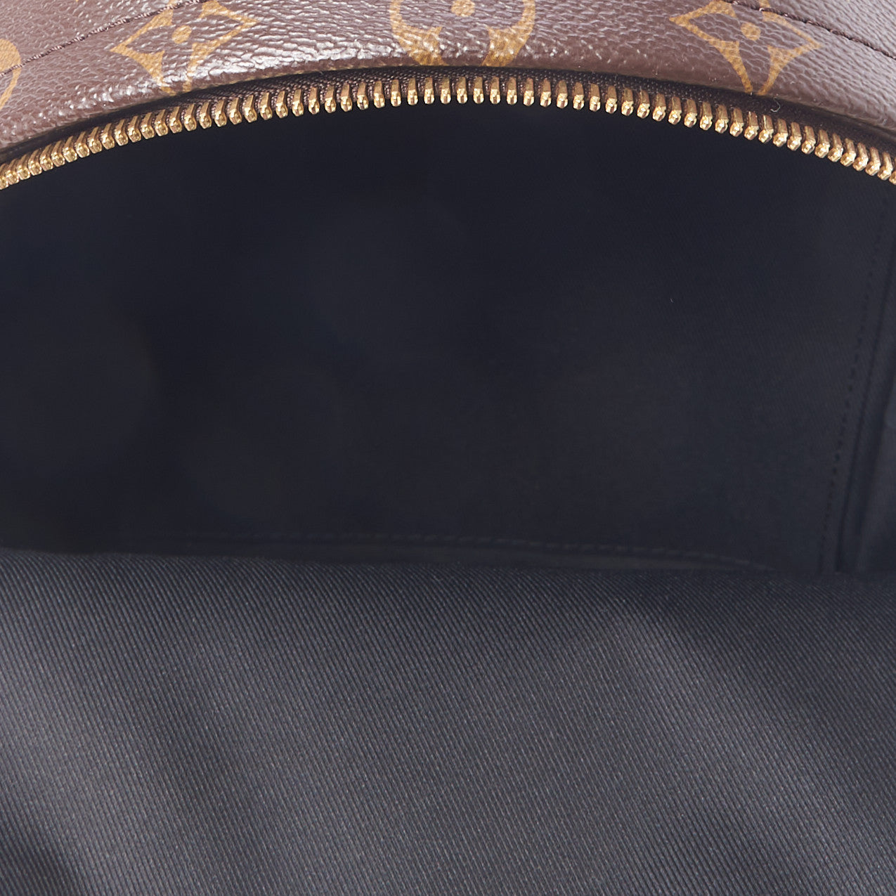 Louis Vuitton Monogram Palm Springs Backpack PM 5 of 10