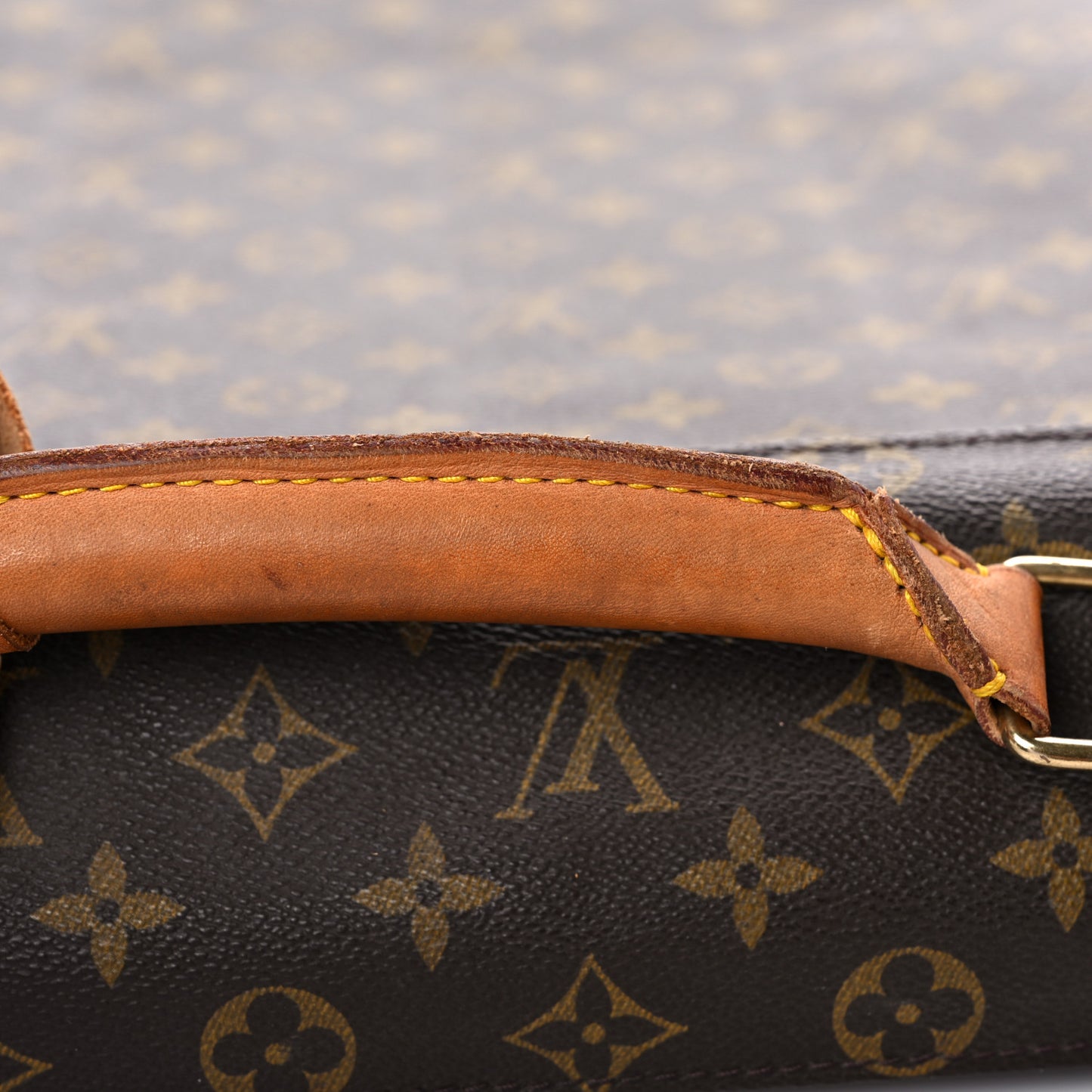 Monogram Garment Bag