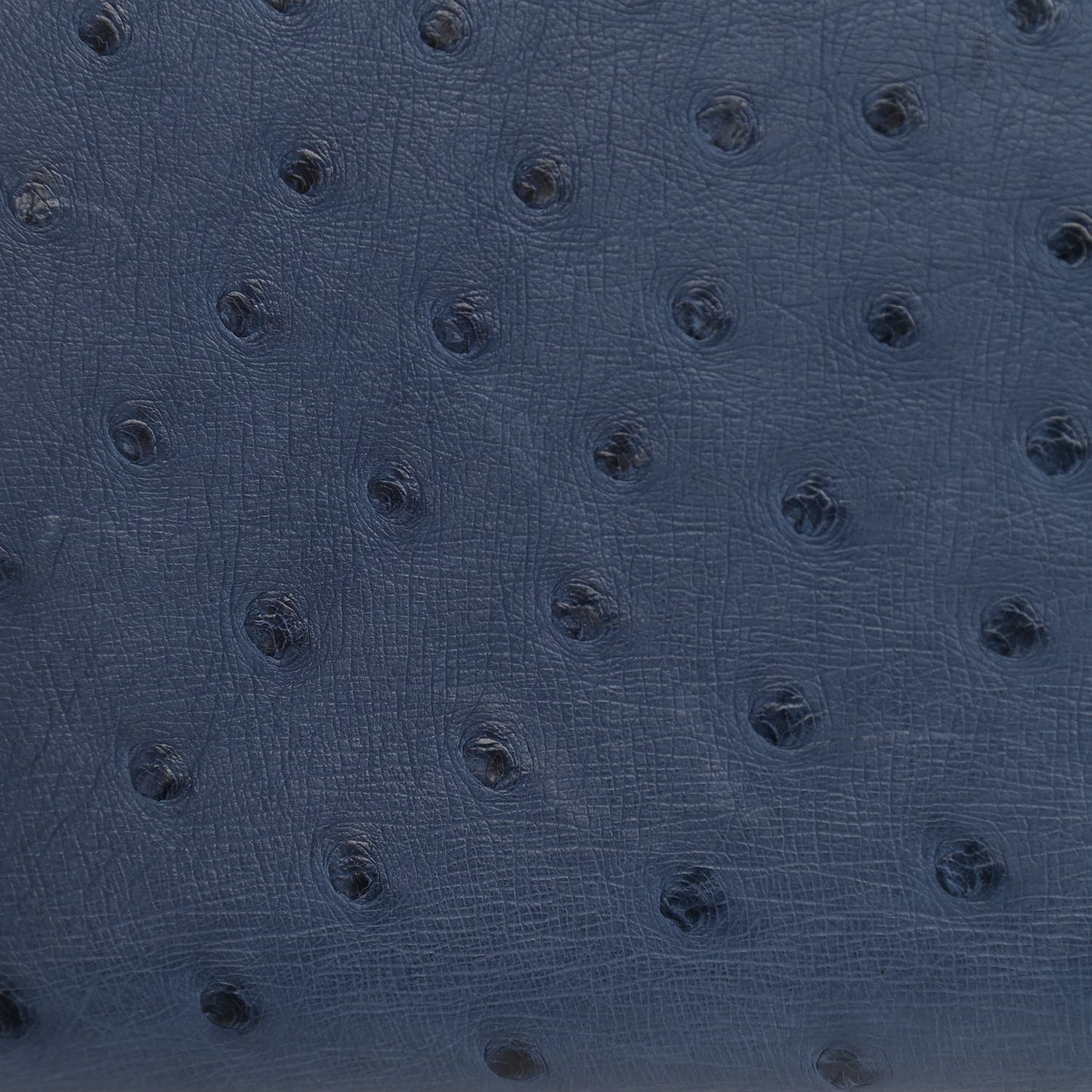 Ostrich Kelly Sellier 28 Bleu Roi