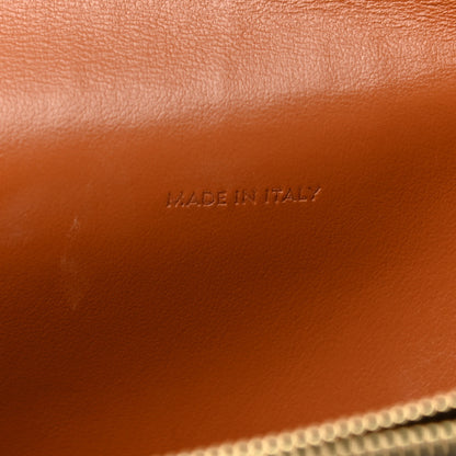 Celine Triomphe Canvas Lambskin Wallet On Strap Tan 8 of 13