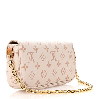 Louis Vuitton Monogram Dune Ivy Wallet On Chain 3 of 9