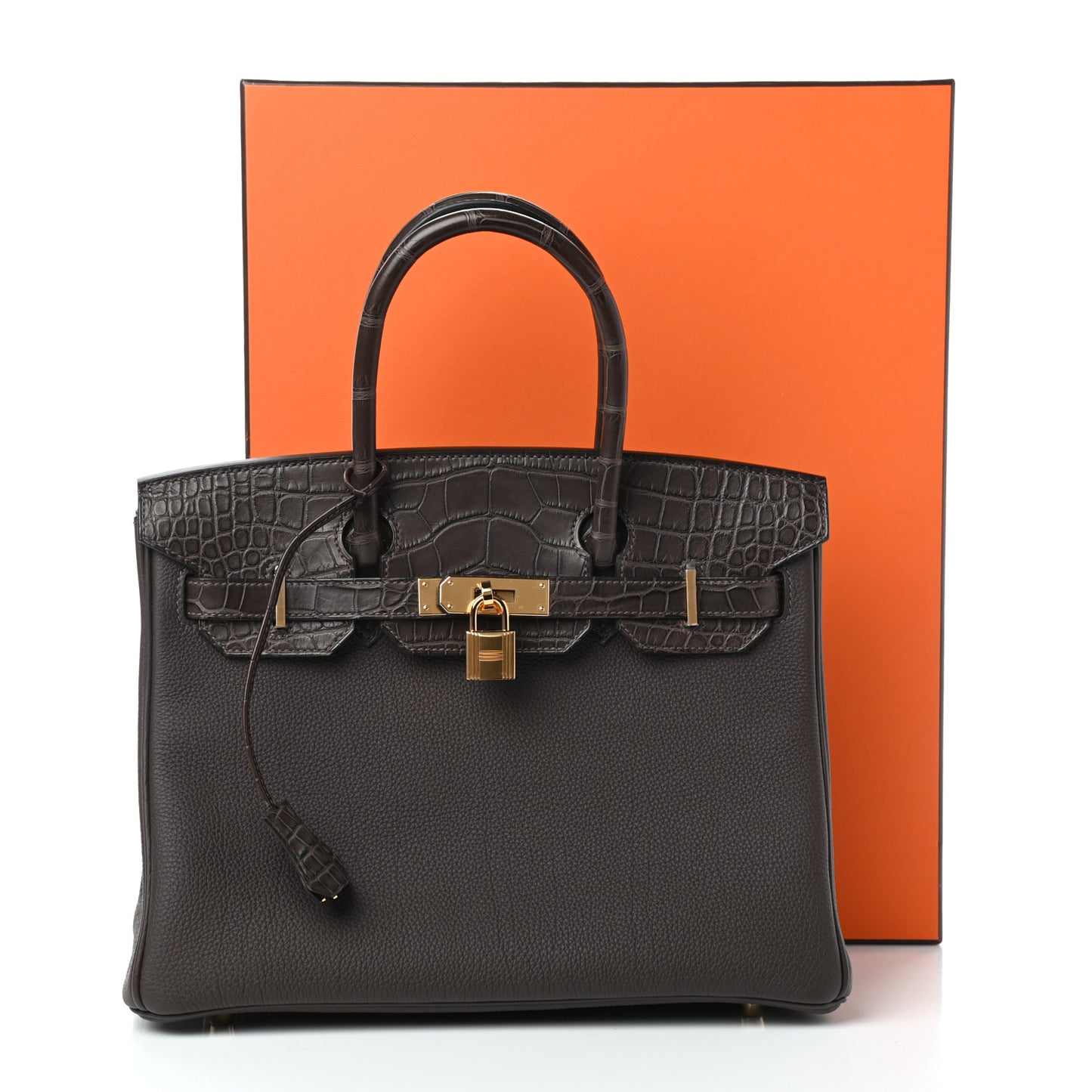 Togo Matte Alligator Birkin Touch 30 Ebene