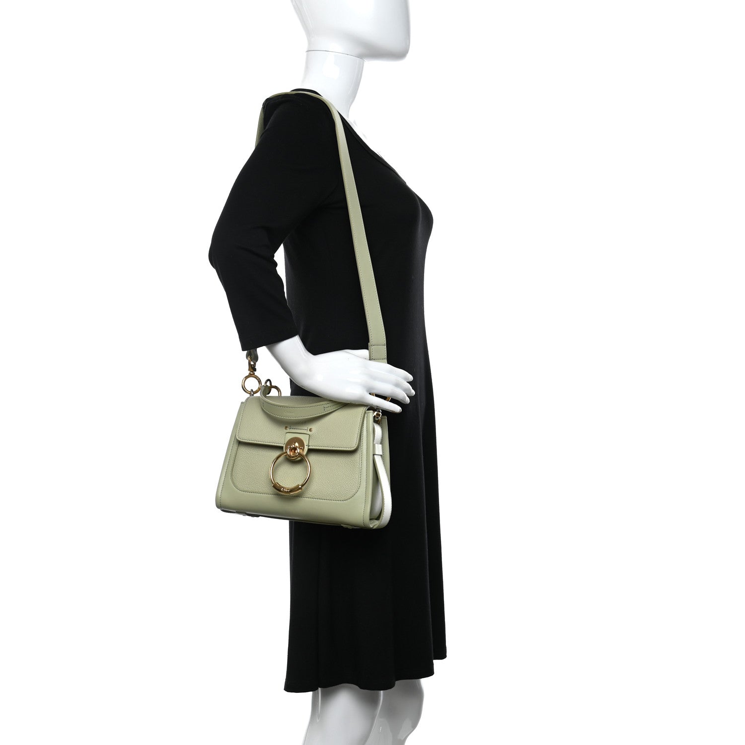 Chloe Calfskin Mini Tess Day Bag Light Eucalyptus 2 of 9