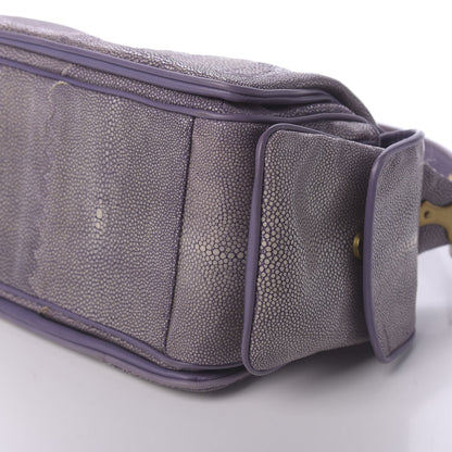 Bottega Veneta Stingray Cocker Hobo Parma 7 of 12