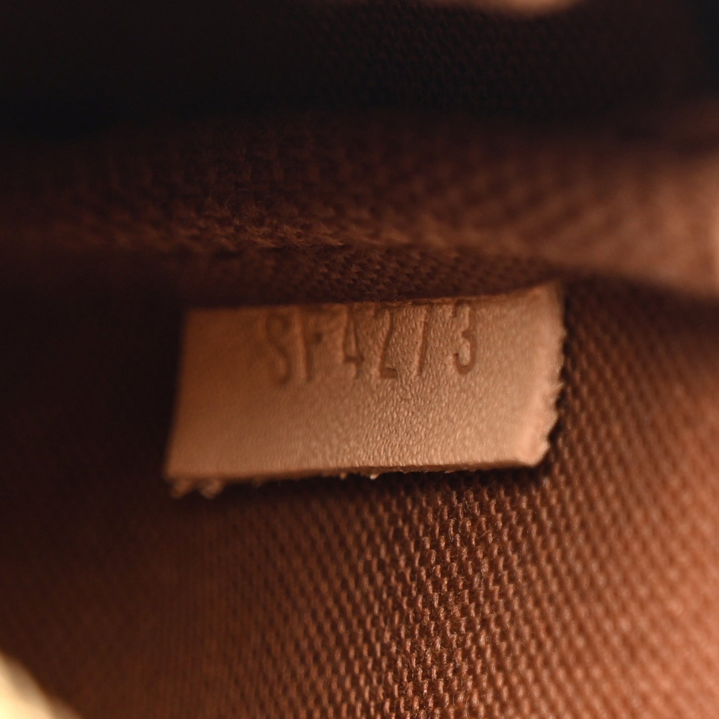 Monogram Mini Pochette Accessories