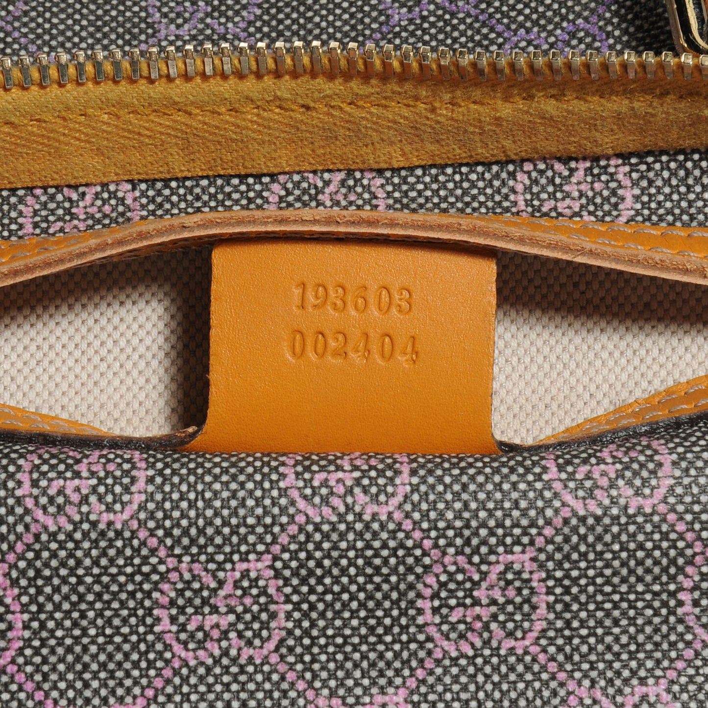 GG Plus Monogram Medium Joy Boston Multicolor