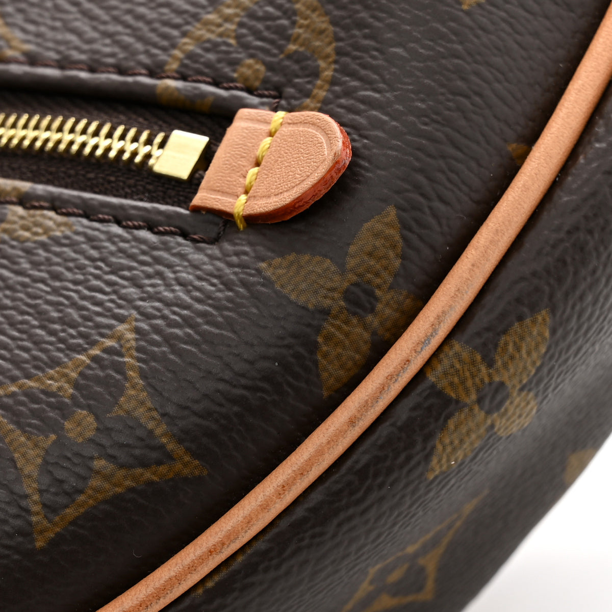 Louis Vuitton Monogram Loop 12 of 12