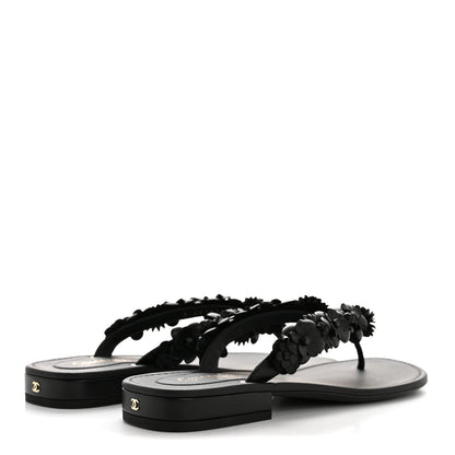 Chanel Lambskin Camellia Thong Sandals 38.5 Black 5 of 10