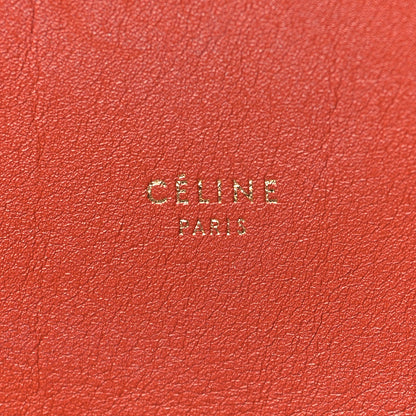 Celine Shiny Smooth Calfskin Zebra Printed Calf Hair Small Twisted Cabas Chalk Brick 7 of 10