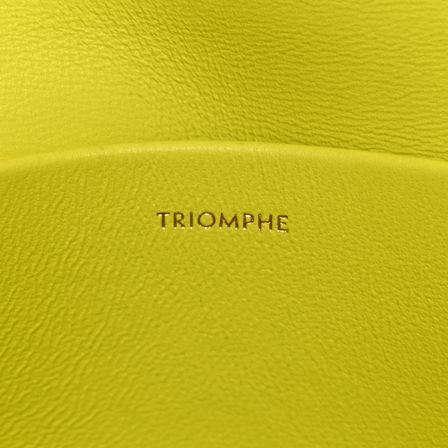 Shiny Calfskin Cuir Triomphe Chain Shoulder Bag Anis