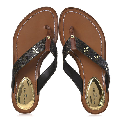 Louis Vuitton Monogram Sunny Flat Thong Sandals 39 Brown 2 of 12