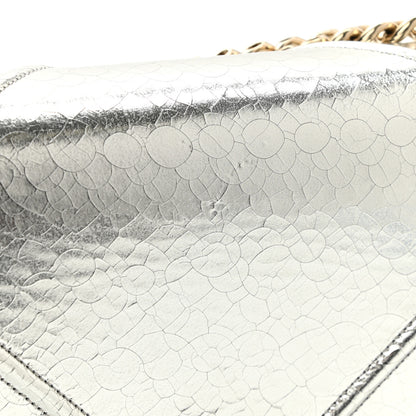 Christian Dior Metallic Ceramic Effect Deerskin Medium Diorama Flap Bag Silver 13 of 13