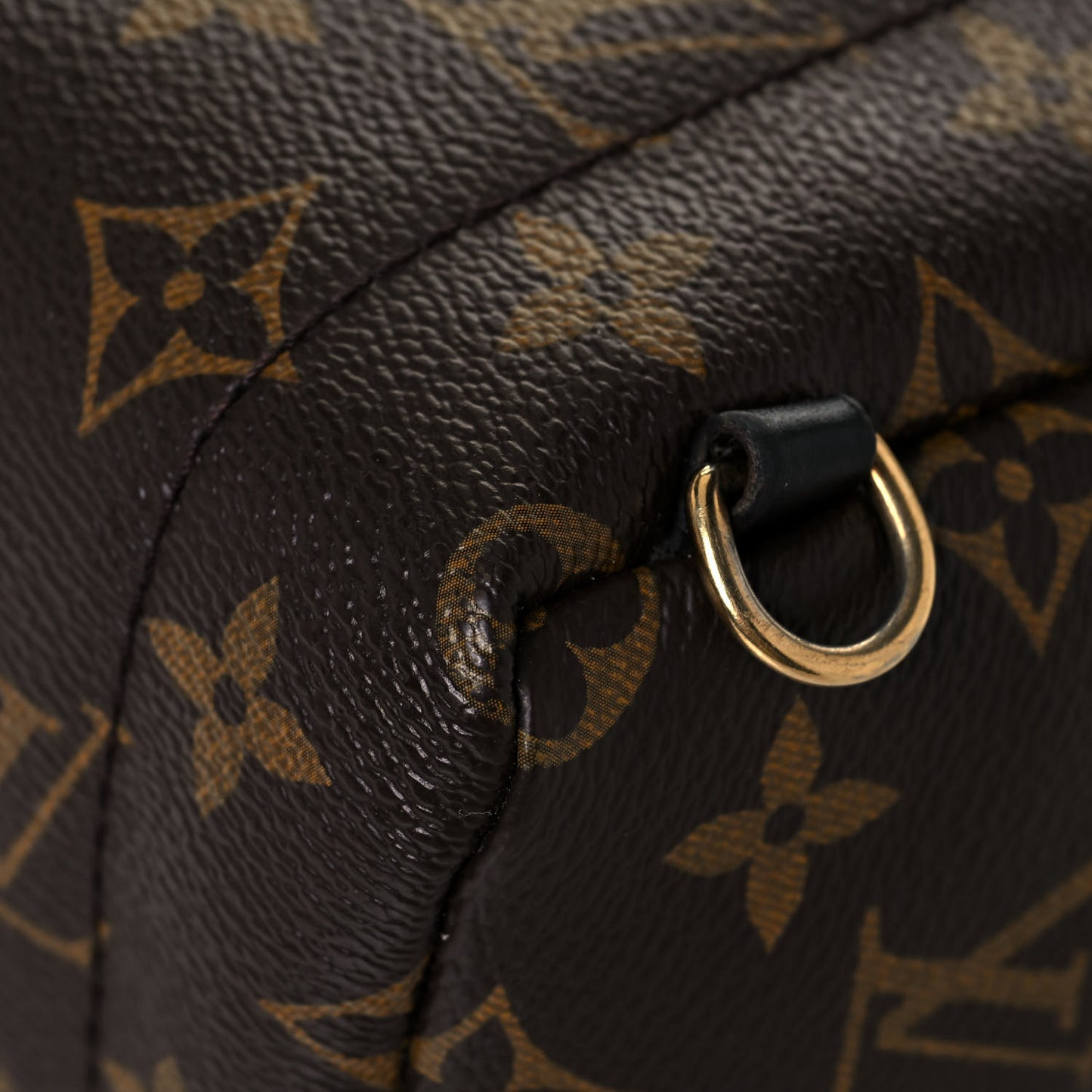 Monogram My World Tour Palm Springs Backpack Mini