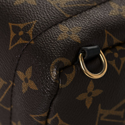 Louis Vuitton Monogram My World Tour Palm Springs Backpack Mini 12 of 15