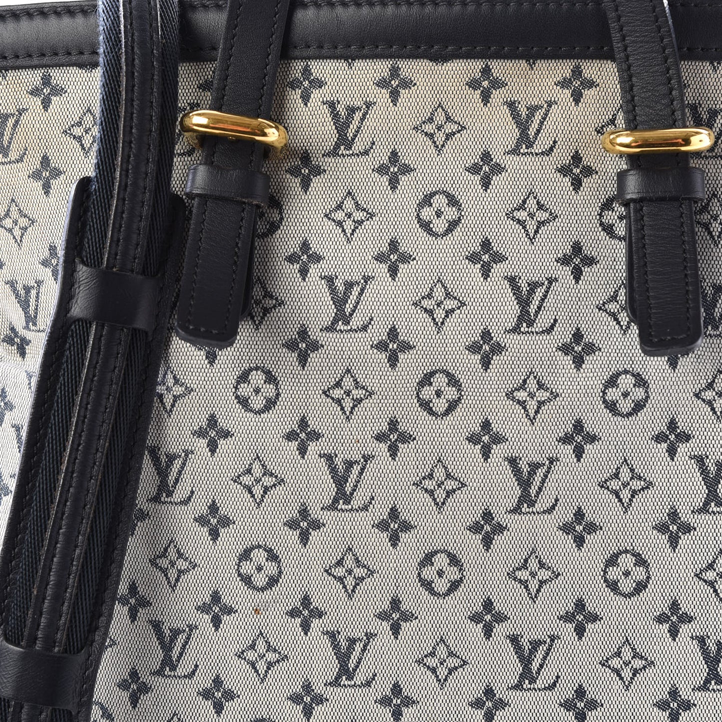 Mini Monogram Francoise Blue