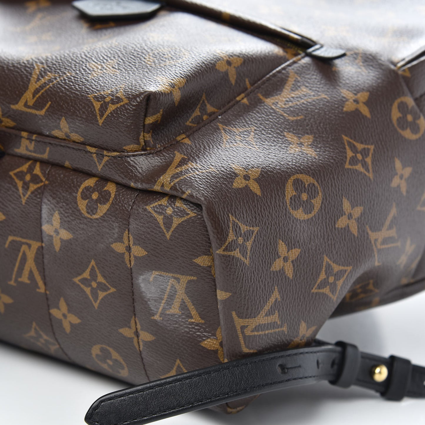 Monogram Palm Springs Backpack MM