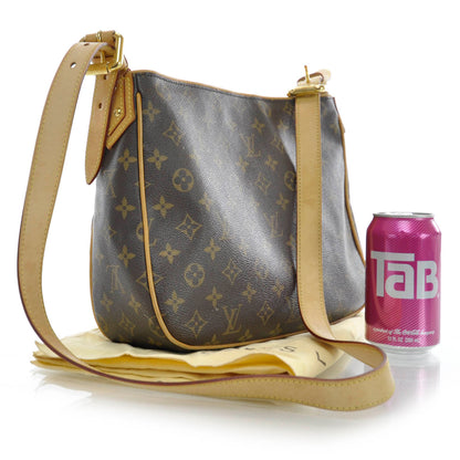 Louis Vuitton Monogram Hudson GM 3 of 7
