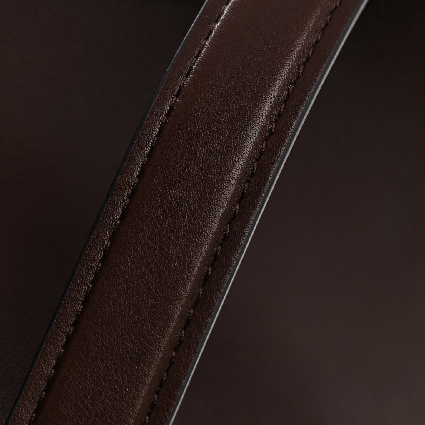 Polished Saddle Calfskin Large N/S Park Tote Chestnut