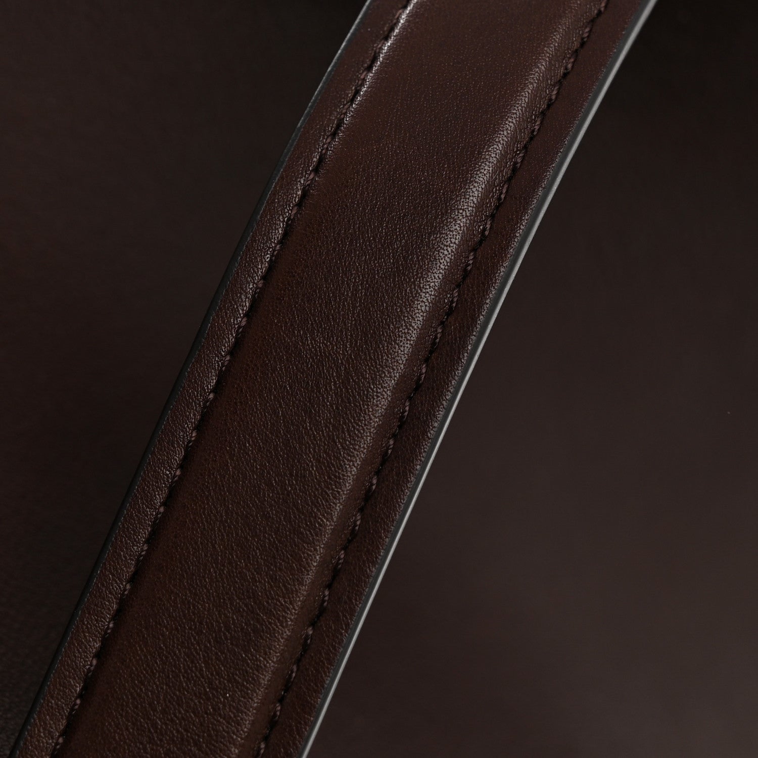 The Row Polished Saddle Calfskin Large N/S Park Tote Chestnut 10 of 10