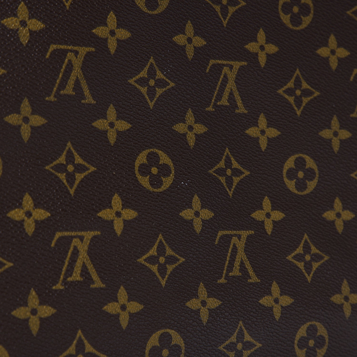 Louis Vuitton Monogram Garment Cover 10 of 13