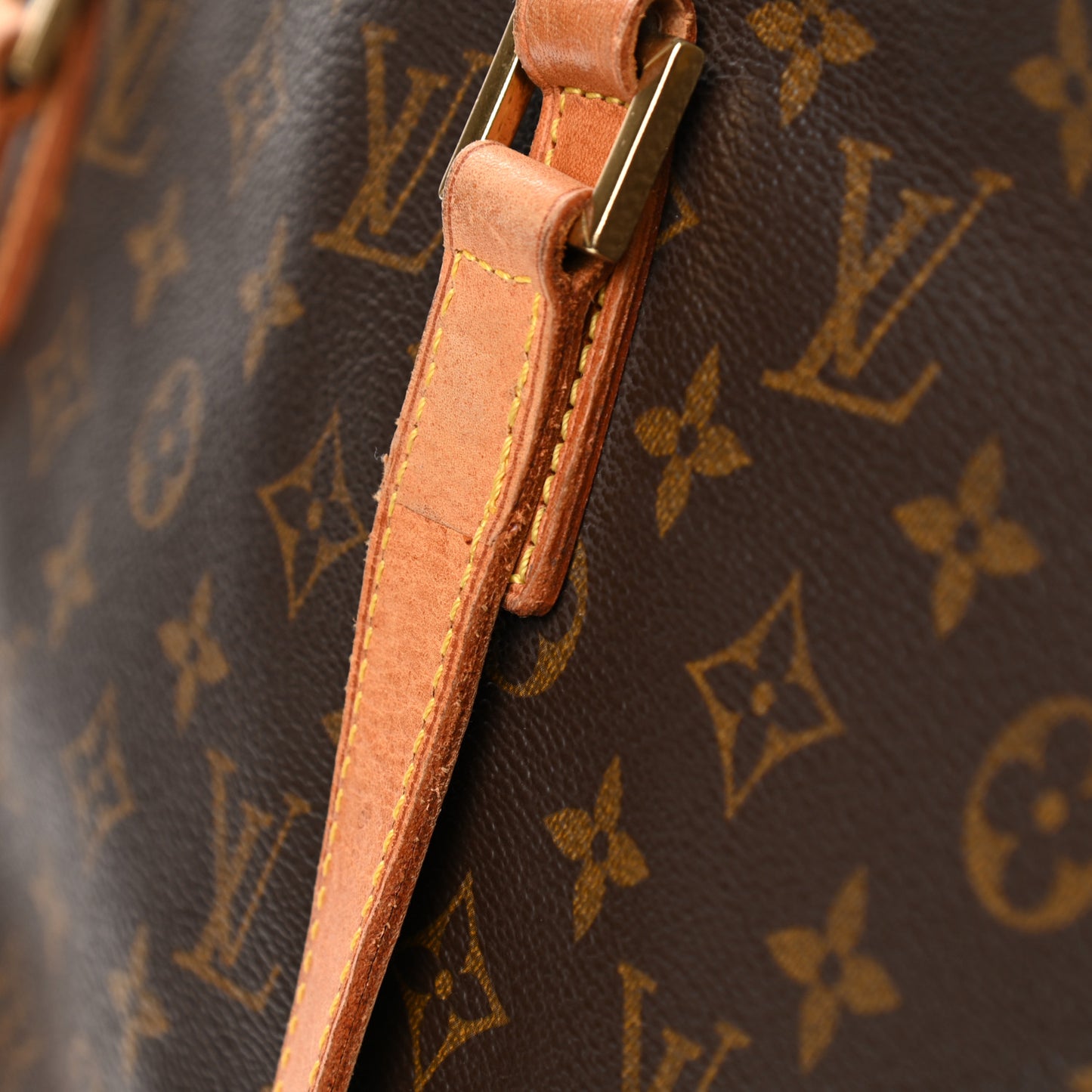 Monogram Cabas Mezzo