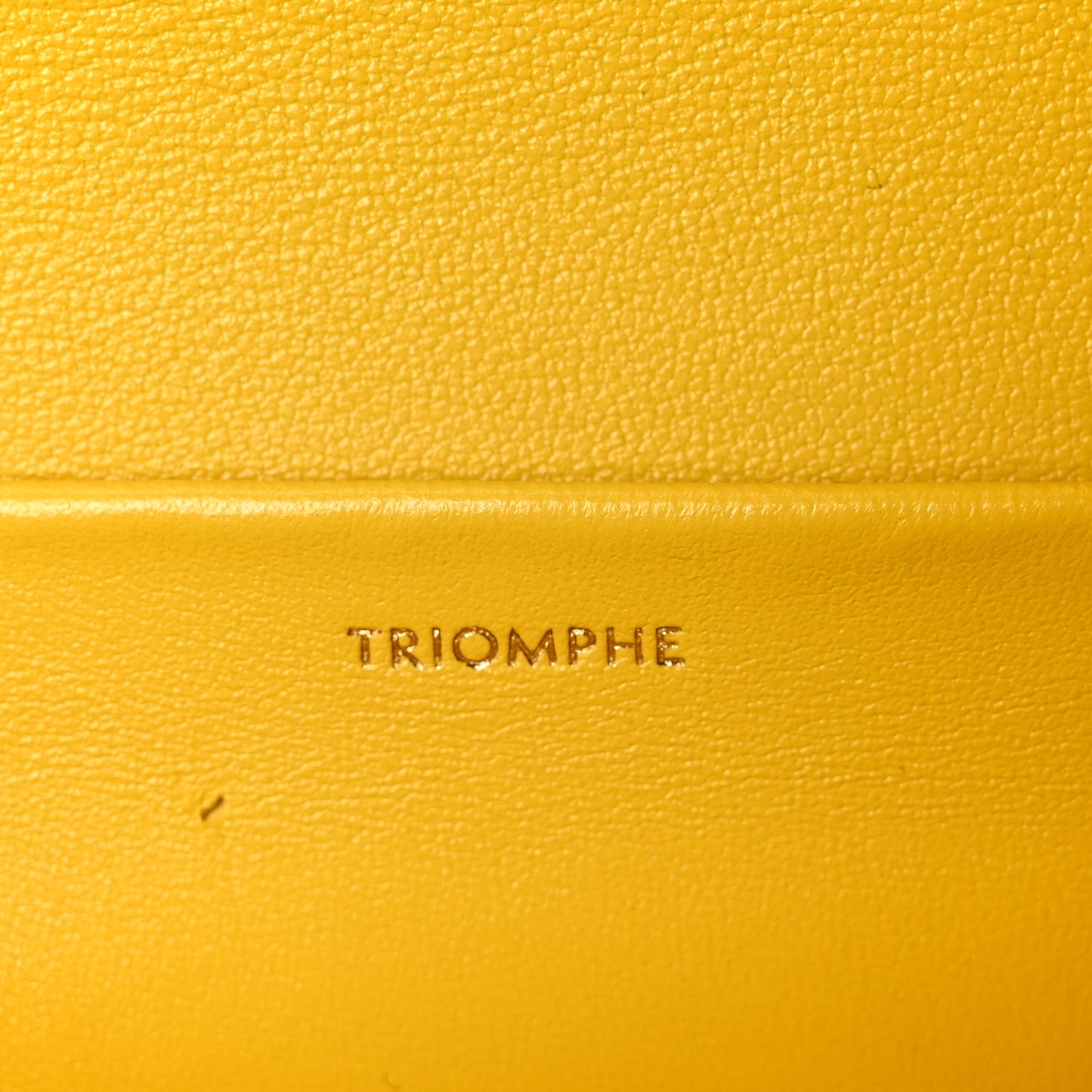 Fluffy Shearling Triomphe Claude Chain Shoulder Bag Yellow