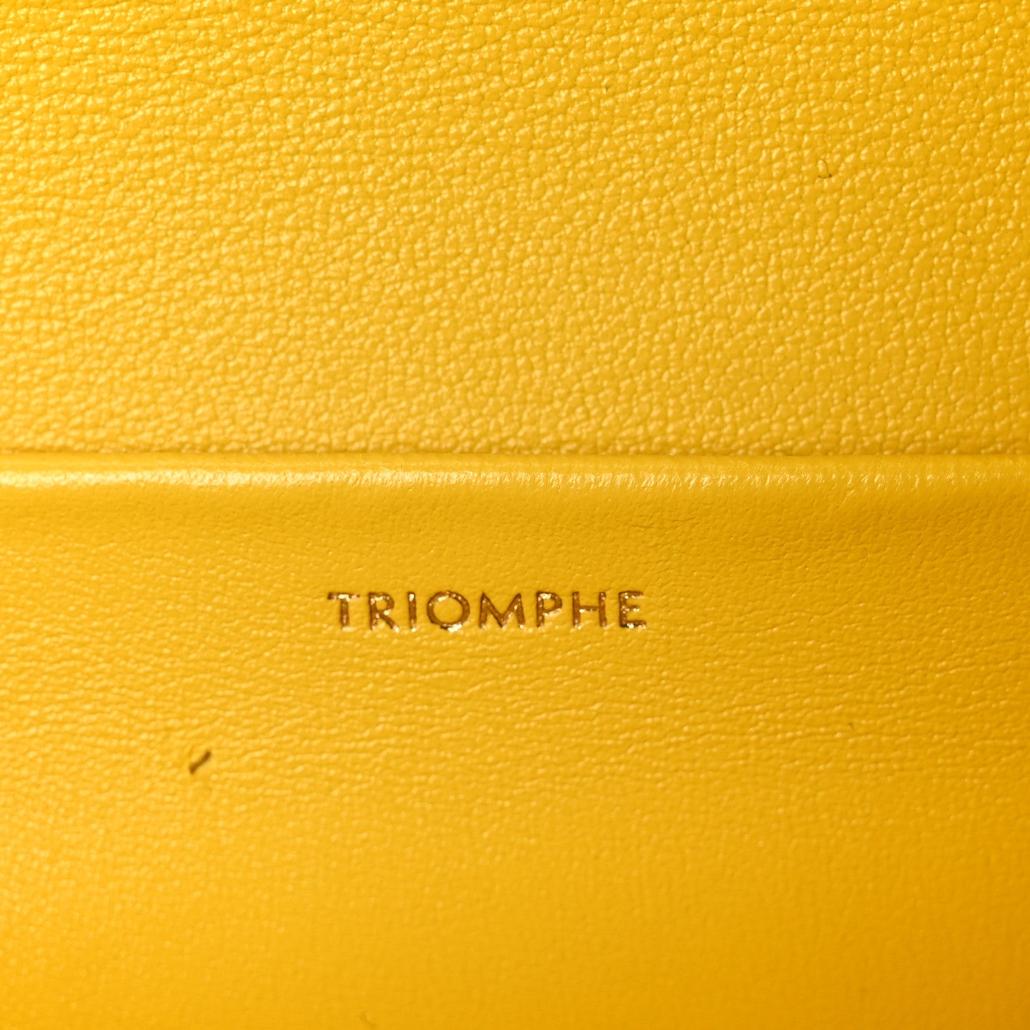 Celine Fluffy Shearling Triomphe Claude Chain Shoulder Bag Yellow 7 of 11