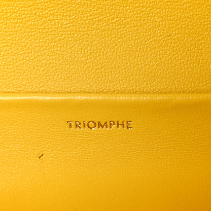 Celine Fluffy Shearling Triomphe Claude Chain Shoulder Bag Yellow 7 of 11