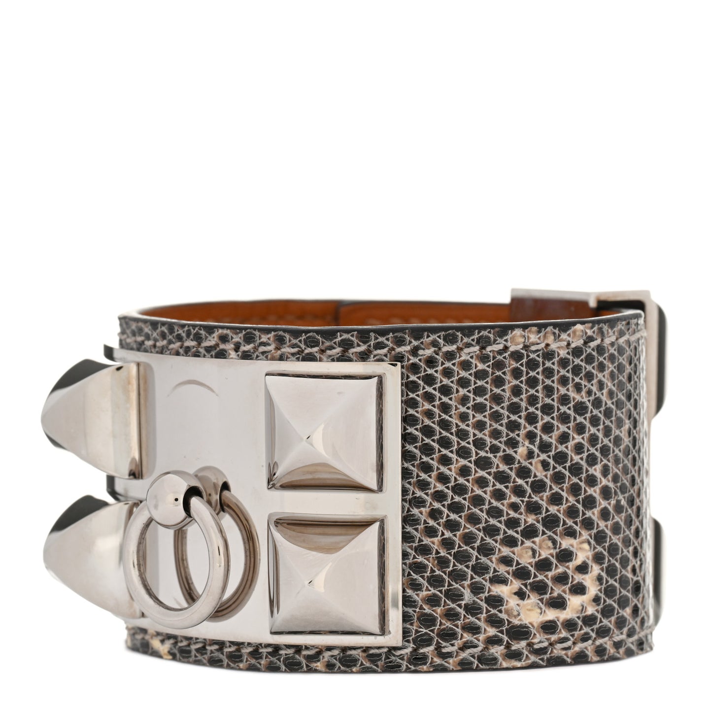 Lizard Collier de Chien CDC Bracelet T1 Ombre
