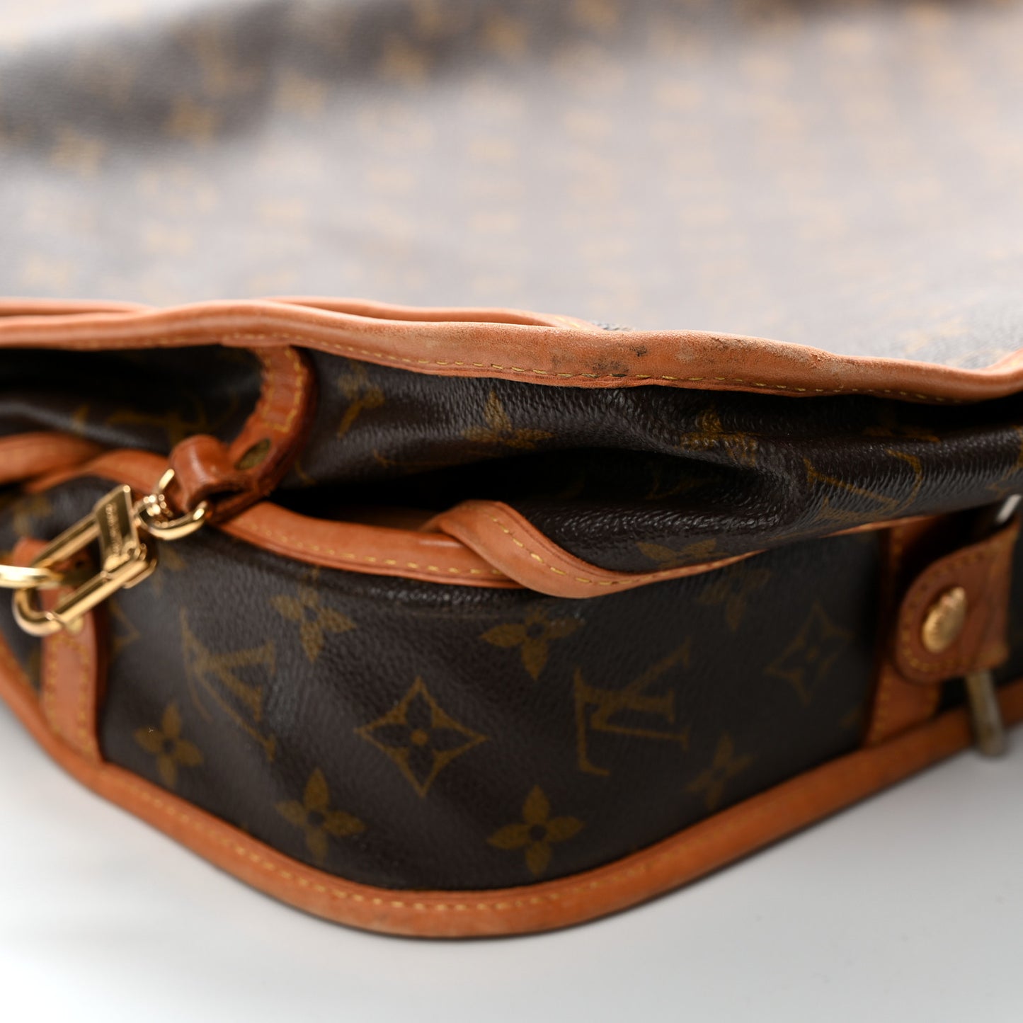 Monogram Garment Bag