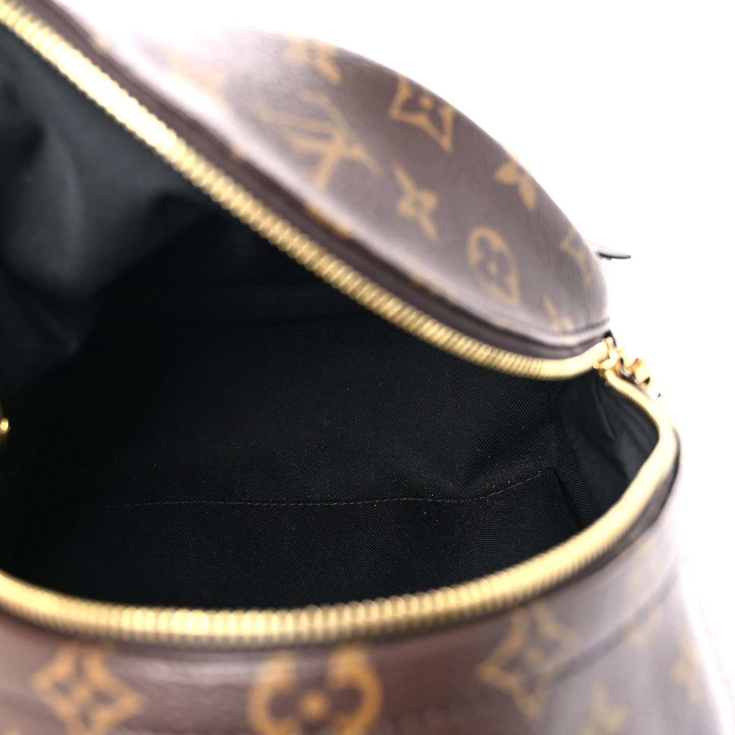 Monogram Palm Springs Backpack PM