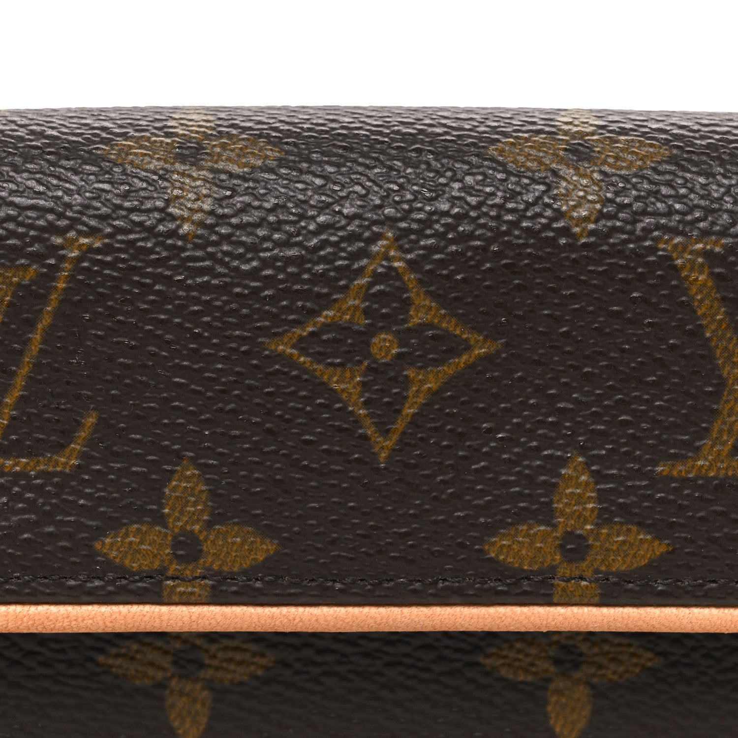 Louis Vuitton Monogram Pochette Florentine M 7 of 9
