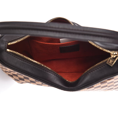 Louis Vuitton Calf Hair Damier Sauvage Tigre 5 of 8